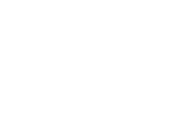 LW IT CONSULTING